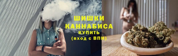 дмт Дмитровск