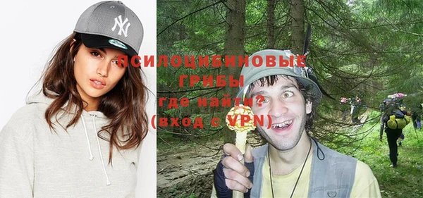 дмт Дмитровск