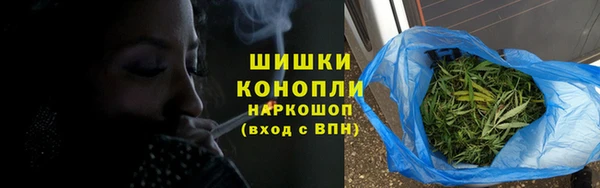 молекула духа Дмитров