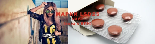 молекула духа Дмитров
