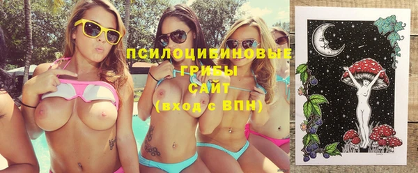 молекула духа Дмитров