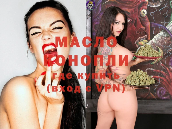 дмт Дмитровск